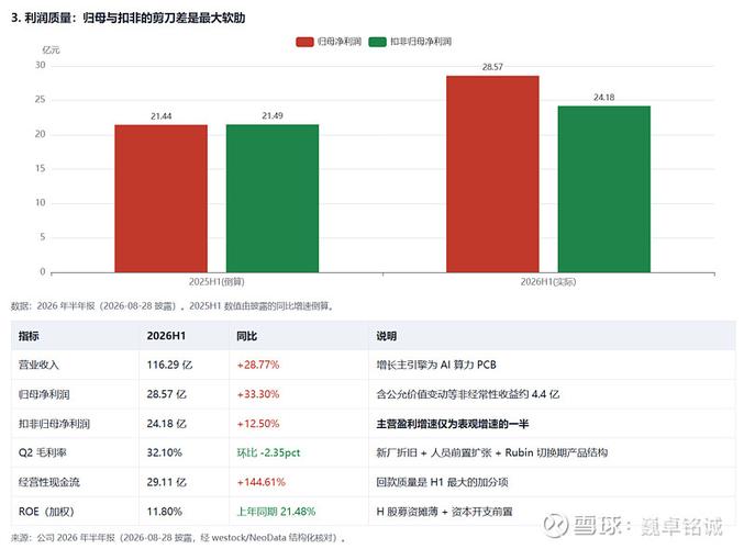 胜宏科技 半梦半醒